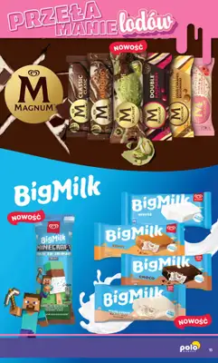 POLOmarket - gazetka promocyjna Katalog Przełamanie Lodów od poniedziałku 04.05 do środy 30.09 - strona 15