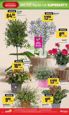 POLOmarket - gazetka promocyjna Gazetka od środy 06.05 do wtorku 12.05 - strona 26
