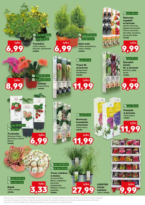 Kaufland - gazetka promocyjna Oferta Kaufland - Ogród od czwartku 07.05 do środy 13.05 - strona 11