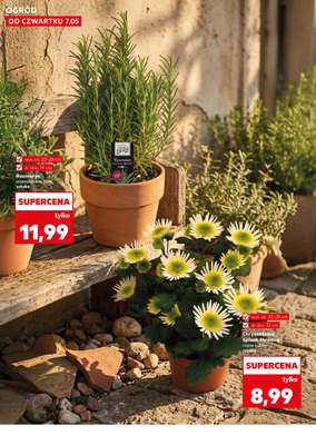 Kaufland - gazetka promocyjna Oferta Kaufland - Ogród od czwartku 07.05 do środy 13.05 - strona 10