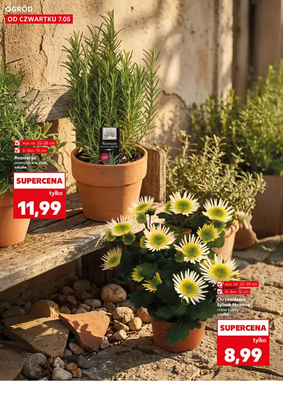 Kaufland - gazetka promocyjna Oferta Kaufland - Ogród od czwartku 07.05 do środy 13.05 - strona 10
