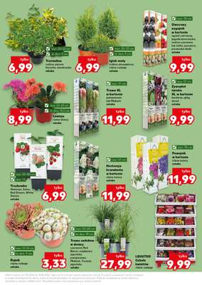 Kaufland - gazetka promocyjna Oferta Kaufland - Ogród od czwartku 07.05 do środy 13.05 - strona 11