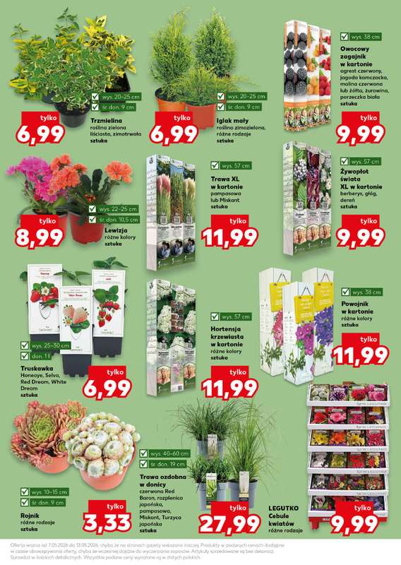 Kaufland - gazetka promocyjna Oferta Kaufland - Ogród od czwartku 07.05 do środy 13.05 - strona 11