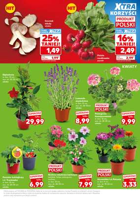 Kaufland - gazetka promocyjna Oferta Kaufland - SUPER SOBOTA od soboty 09.05 do soboty 09.05 - strona 13