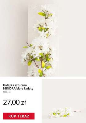 Homla - gazetka promocyjna Białe okazje od piątku 08.05  - strona 4