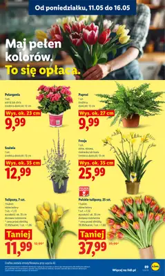 Lidl - gazetka promocyjna Oferta od poniedziałku od poniedziałku 11.05 do środy 13.05 - strona 91
