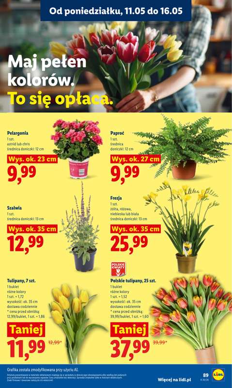 Lidl - gazetka promocyjna Oferta od poniedziałku od poniedziałku 11.05 do środy 13.05 - strona 91