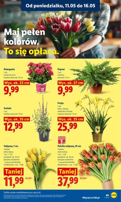 Lidl - gazetka promocyjna Oferta od poniedziałku od poniedziałku 11.05 do środy 13.05 - strona 91