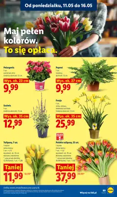 Lidl - gazetka promocyjna Oferta od poniedziałku od poniedziałku 11.05 do środy 13.05 - strona 91