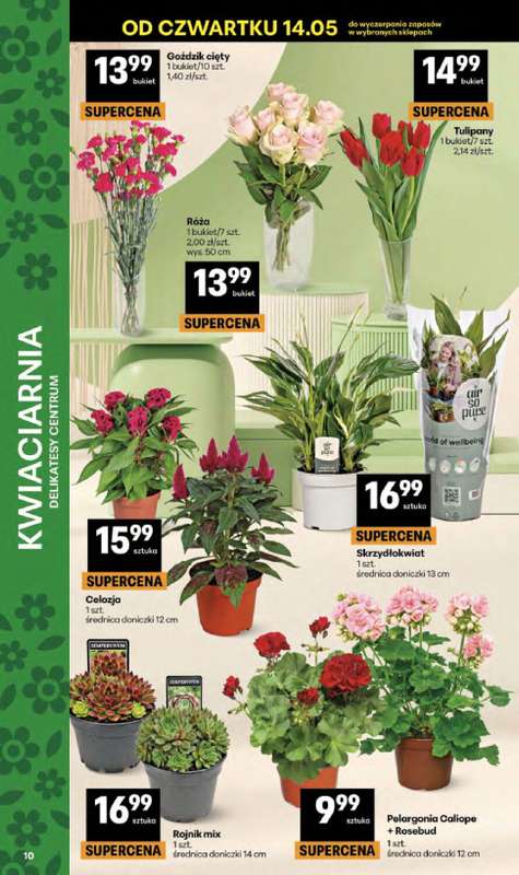 Delikatesy Centrum - gazetka promocyjna Gazetka  do środy 20.05 - strona 10