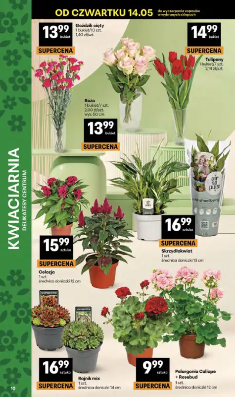 Delikatesy Centrum - gazetka promocyjna Gazetka  do środy 20.05 - strona 10