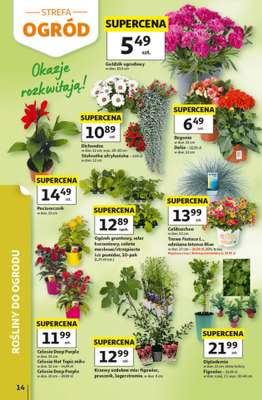Auchan - gazetka promocyjna Gazetka 30 Lat Hipermarket Auchan od czwartku 14.05 do środy 20.05 - strona 14