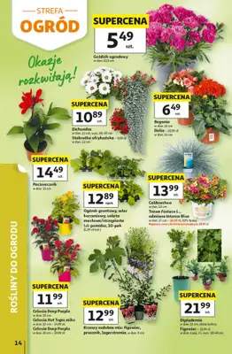 Auchan - gazetka promocyjna Gazetka 30 Lat Hipermarket Auchan od czwartku 14.05 do środy 20.05 - strona 14