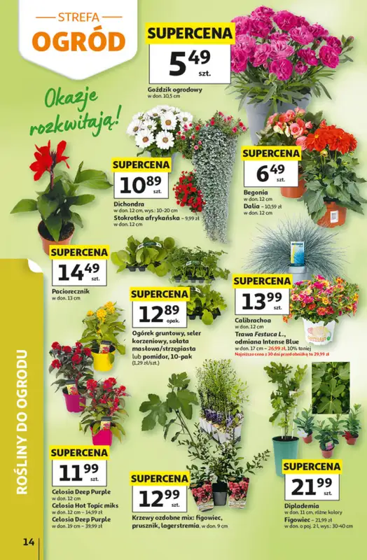 Auchan - gazetka promocyjna Gazetka 30 Lat Hipermarket Auchan od czwartku 14.05 do środy 20.05 - strona 14
