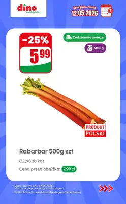 Dino - gazetka promocyjna Specjalna oferta na 12.05.2026 - promocje spoza gazetki od wtorku 12.05 do wtorku 12.05 - strona 3
