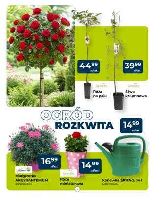 PSB Mrówka - gazetka promocyjna Gazetka od czwartku 14.05 do soboty 23.05 - strona 2
