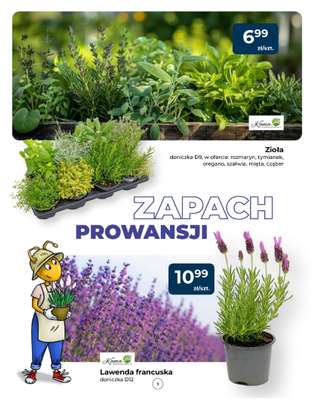 PSB Mrówka - gazetka promocyjna Gazetka od czwartku 14.05 do soboty 23.05 - strona 5