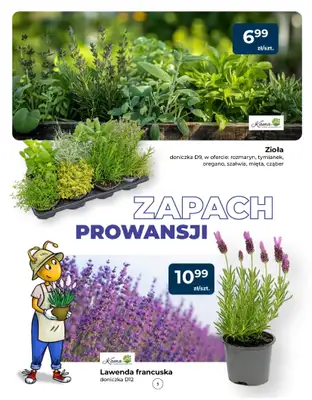 PSB Mrówka - gazetka promocyjna Gazetka od czwartku 14.05 do soboty 23.05 - strona 5