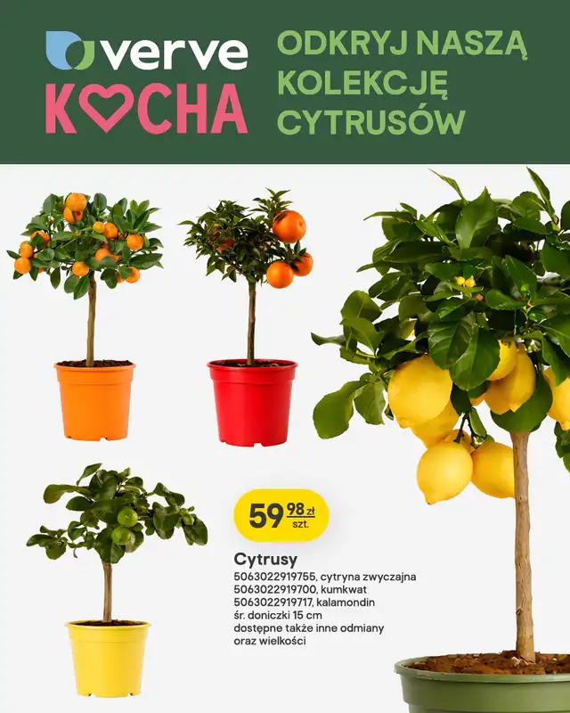 Castorama - gazetka promocyjna Wokół ogrodu od środy 13.05 do wtorku 26.05 - strona 6