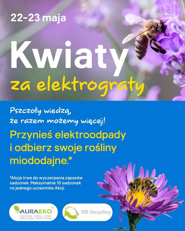 Castorama - gazetka promocyjna Wokół ogrodu od środy 13.05 do wtorku 26.05 - strona 5