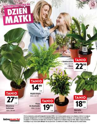 Intermarche - gazetka promocyjna Katalog Dzień Dziecka od czwartku 14.05 do wtorku 02.06 - strona 12