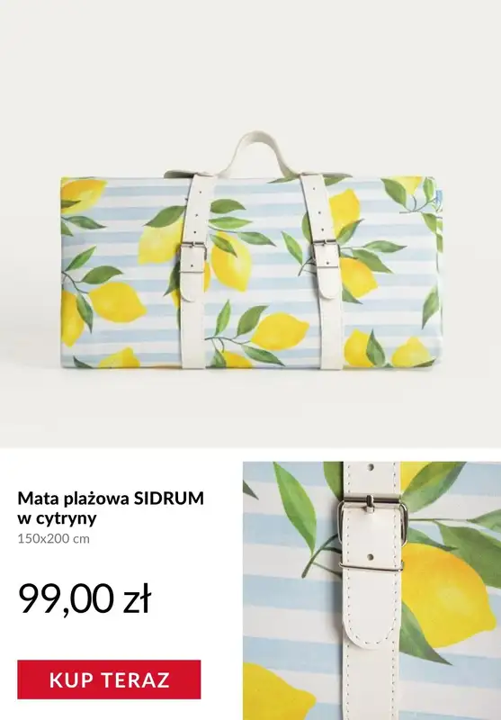 Homla - gazetka promocyjna Piknik i grill   - strona 3