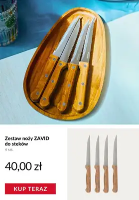 Homla - gazetka promocyjna Piknik i grill od wtorku 12.05  - strona 9