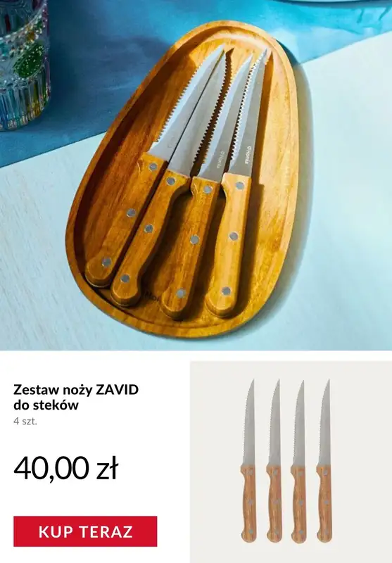 Homla - gazetka promocyjna Piknik i grill od wtorku 12.05  - strona 9