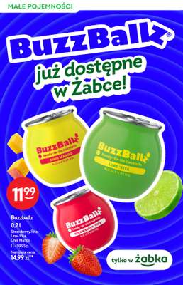Żabka - gazetka promocyjna Katalog alkoholowy od środy 13.05 do wtorku 26.05 - strona 4