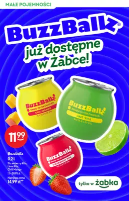 Żabka - gazetka promocyjna Katalog alkoholowy od środy 13.05 do wtorku 26.05 - strona 4