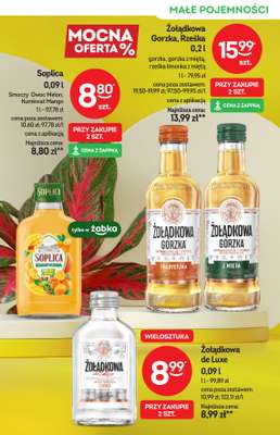Żabka - gazetka promocyjna Katalog alkoholowy od środy 13.05 do wtorku 26.05 - strona 3