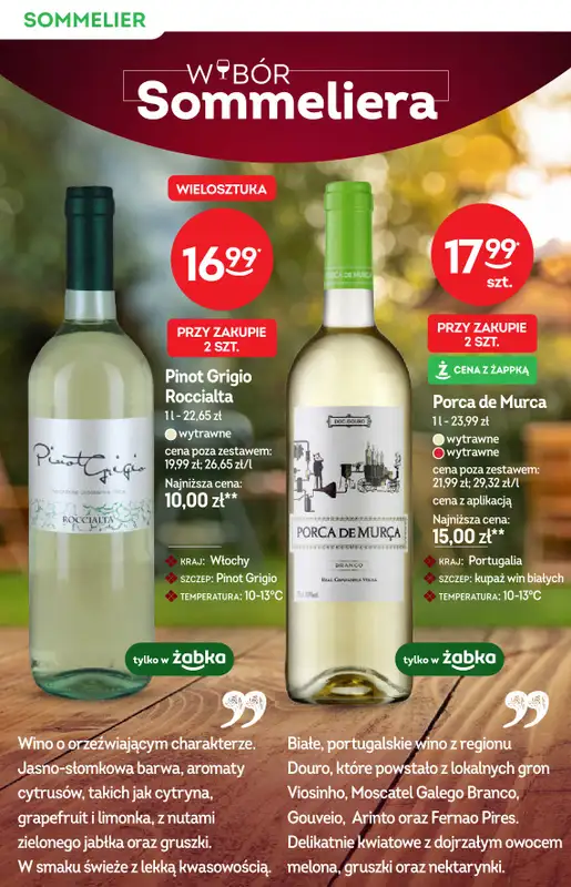 Żabka - gazetka promocyjna Katalog win od środy 13.05 do wtorku 26.05 - strona 8