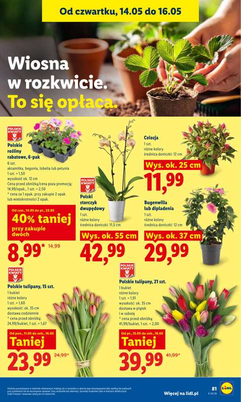 Lidl - gazetka promocyjna Oferta od czwartku od czwartku 14.05 do soboty 16.05 - strona 87