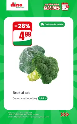 Dino - gazetka promocyjna Specjalna oferta na 13.05.2026 - promocje spoza gazetki od środy 13.05 do środy 13.05 - strona 3
