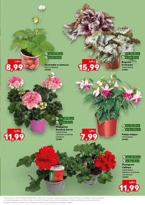 Kaufland - gazetka promocyjna Oferta Kaufland - Ogród od czwartku 14.05 do środy 20.05 - strona 11