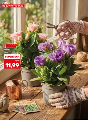 Kaufland - gazetka promocyjna Oferta Kaufland - Ogród od czwartku 14.05 do środy 20.05 - strona 10