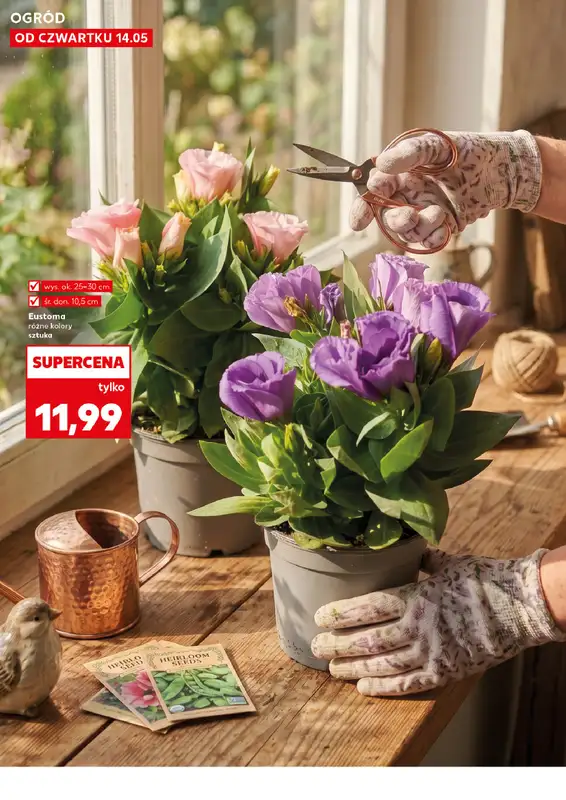 Kaufland - gazetka promocyjna Oferta Kaufland - Ogród od czwartku 14.05 do środy 20.05 - strona 10