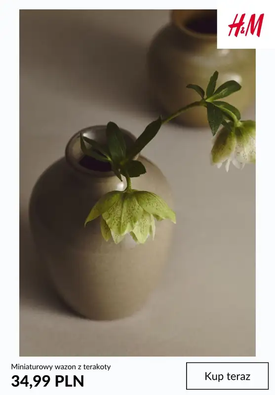 H&M - gazetka promocyjna HOME: ozdoby do domu od środy 13.05  - strona 5