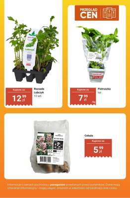 Dino - gazetka promocyjna Produkty na BULION - przegląd cen od czwartku 14.05 do wtorku 19.05 - strona 6