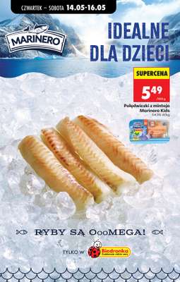 Biedronka - gazetka promocyjna Od czwartku od czwartku 14.05 do środy 20.05 - strona 40