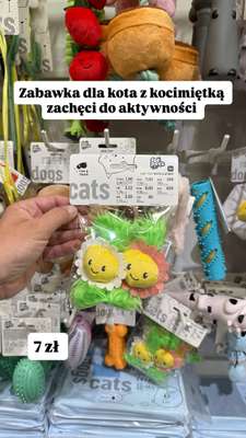 Pepco - gazetka promocyjna Zakupowe Inspiracje w Pepco od czwartku 14.05  - strona 15
