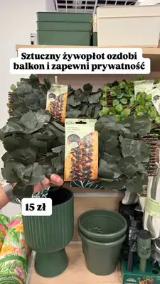 Pepco - gazetka promocyjna Zakupowe Inspiracje w Pepco od czwartku 14.05  - strona 2