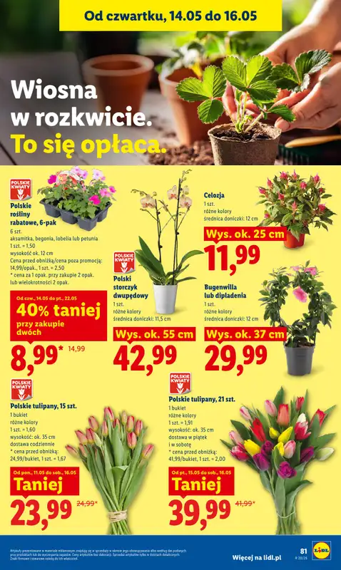 Lidl - gazetka promocyjna Oferta od czwartku od czwartku 14.05 do soboty 16.05 - strona 89
