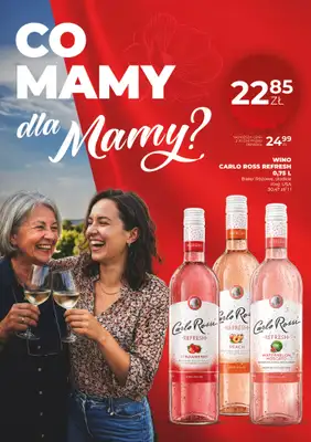 Duży Ben - gazetka promocyjna Gazetka alkoholowa od czwartku 14.05 do środy 27.05 - strona 10