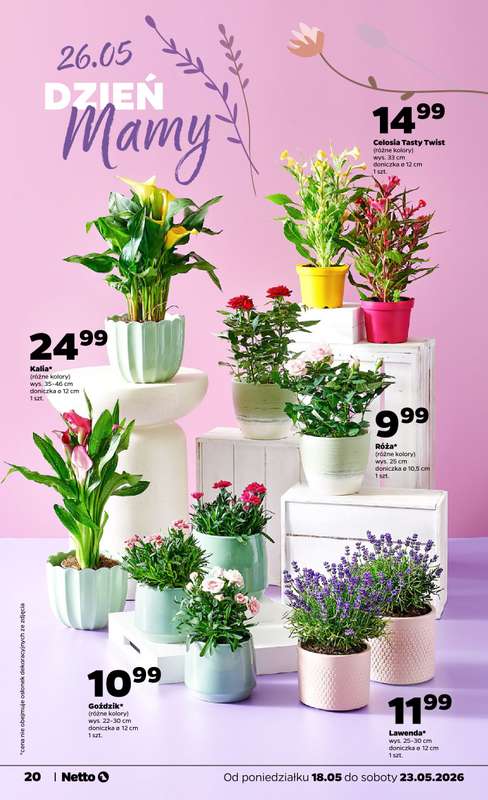 Netto - gazetka promocyjna Gazetka Spożywcza  do soboty 23.05 - strona 20