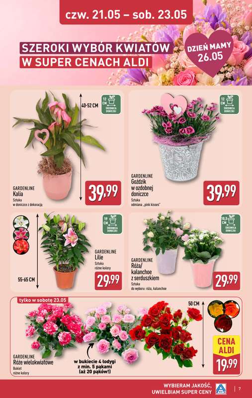 Aldi - gazetka promocyjna Dzień Mamy w Aldi! od poniedziałku 18.05 do soboty 23.05 - strona 7