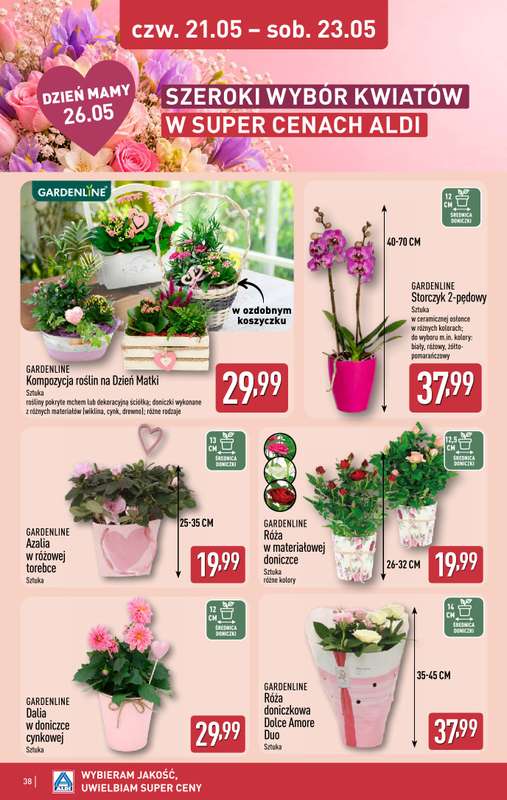 Aldi - gazetka promocyjna Pełny katalog! od poniedziałku 18.05 do soboty 23.05 - strona 38