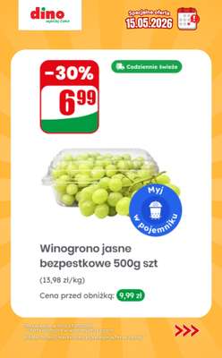 Dino - gazetka promocyjna Specjalna oferta na 15.05.2026 - promocje spoza gazetki od piątku 15.05 do piątku 15.05 - strona 3