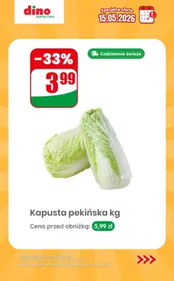 Dino - gazetka promocyjna Specjalna oferta na 15.05.2026 - promocje spoza gazetki od piątku 15.05 do piątku 15.05 - strona 6