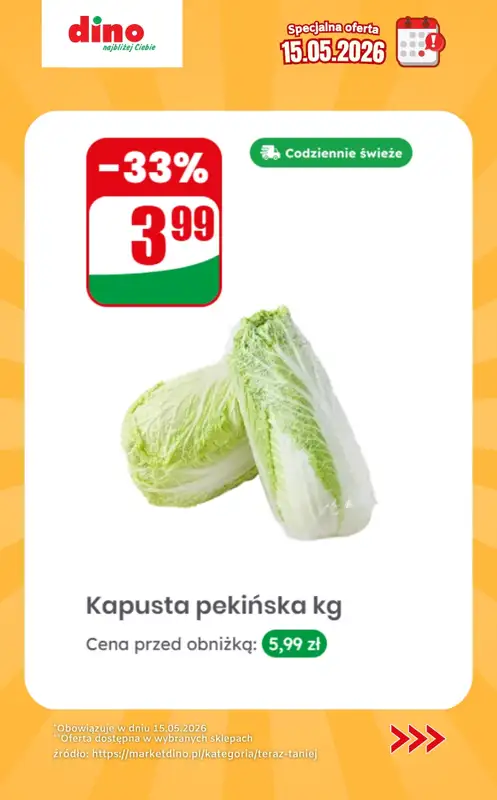 Dino - gazetka promocyjna Specjalna oferta na 15.05.2026 - promocje spoza gazetki od piątku 15.05 do piątku 15.05 - strona 6